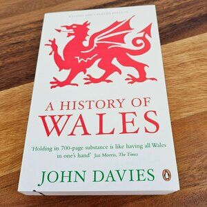 A History of Wales Book John Davies History Travel 2007 Britain Paperback Revise
